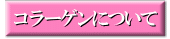 ¥³¥é¡¼¥²¥ó¤Ë¤Ä¤¤¤Æ¤Ï¤³¤Á¤é